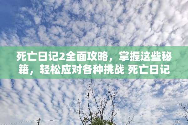 死亡日记2全面攻略，掌握这些秘籍，轻松应对各种挑战 死亡日记2攻略