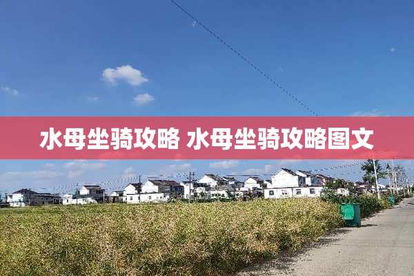 水母坐骑攻略 水母坐骑攻略图文