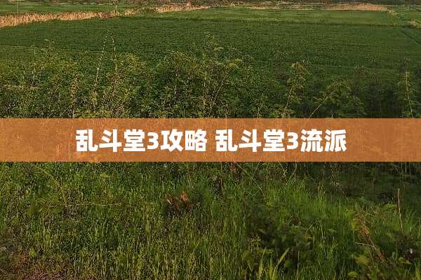 乱斗堂3攻略 乱斗堂3流派