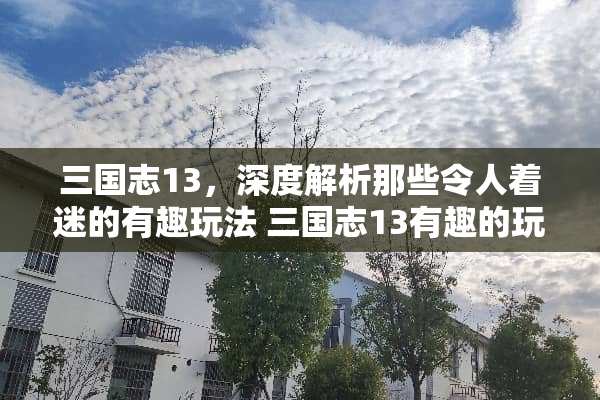 三国志13，深度解析那些令人着迷的有趣玩法 三国志13有趣的玩法