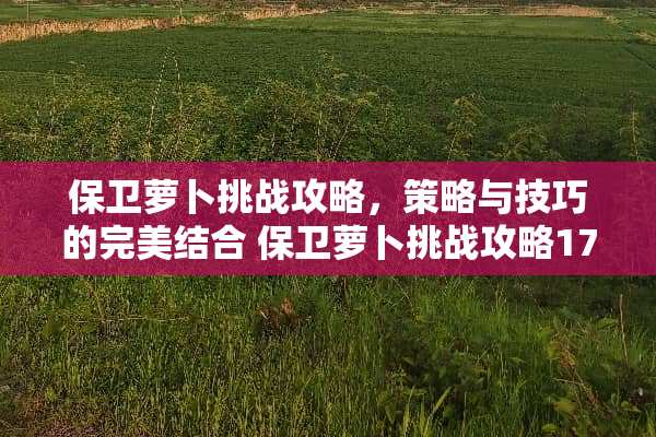 保卫萝卜挑战攻略，策略与技巧的完美结合 保卫萝卜挑战攻略17