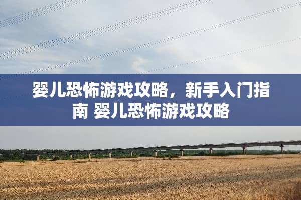 婴儿恐怖游戏攻略，新手入门指南 婴儿恐怖游戏攻略