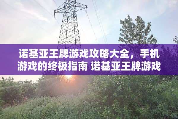 诺基亚王牌游戏攻略大全，手机游戏的终极指南 诺基亚王牌游戏攻略大全