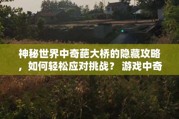 神秘世界中奇葩大桥的隐藏攻略，如何轻松应对挑战？ 游戏中奇葩大桥攻略