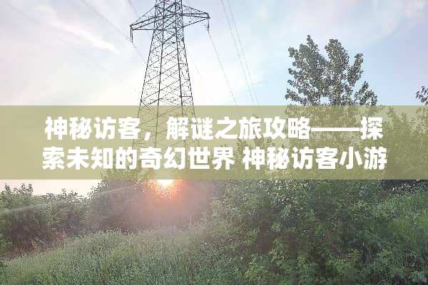 神秘访客，解谜之旅攻略——探索未知的奇幻世界 神秘访客小游戏攻略