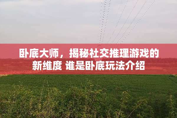 **大师，揭秘社交推理游戏的新维度 谁是**玩法介绍