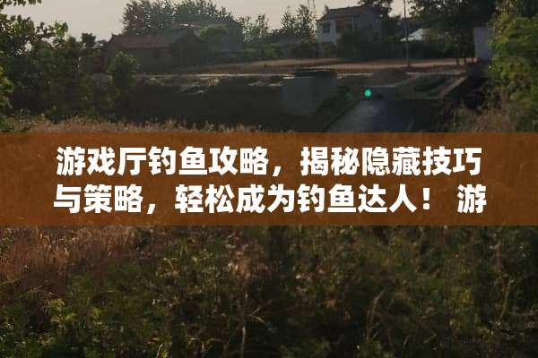 游戏厅钓鱼攻略，揭秘隐藏技巧与策略，轻松成为钓鱼达人！ 游戏厅钓鱼攻略