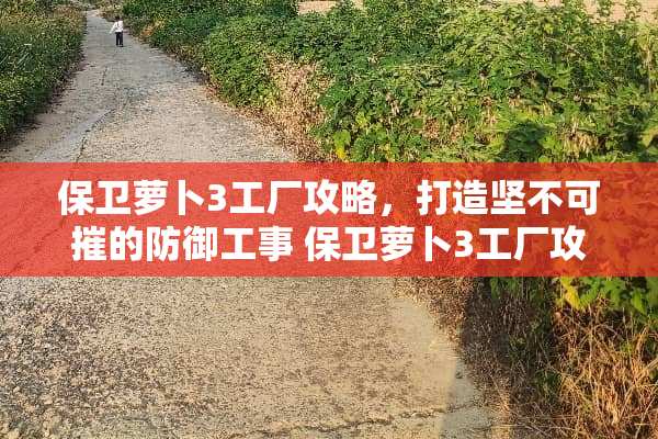 保卫萝卜3工厂攻略，打造坚不可摧的防御工事 保卫萝卜3工厂攻略