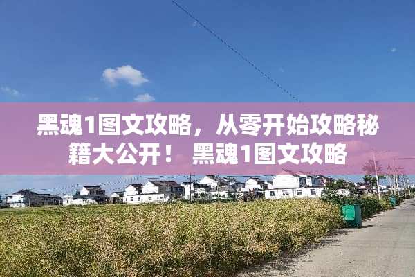 黑魂1图文攻略，从零开始攻略秘籍大公开！ 黑魂1图文攻略