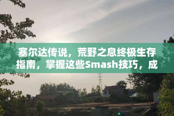 塞尔达传说，荒野之息终极生存指南，掌握这些Smash技巧，成为林克大师！ smash游戏攻略