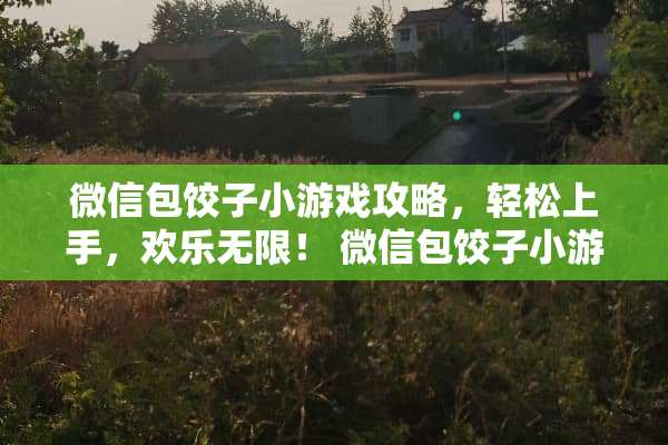 微信包饺子小游戏攻略，轻松上手，欢乐无限！ 微信包饺子小游戏攻略
