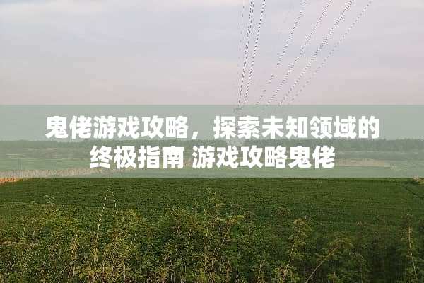 鬼佬游戏攻略，探索未知领域的终极指南 游戏攻略鬼佬