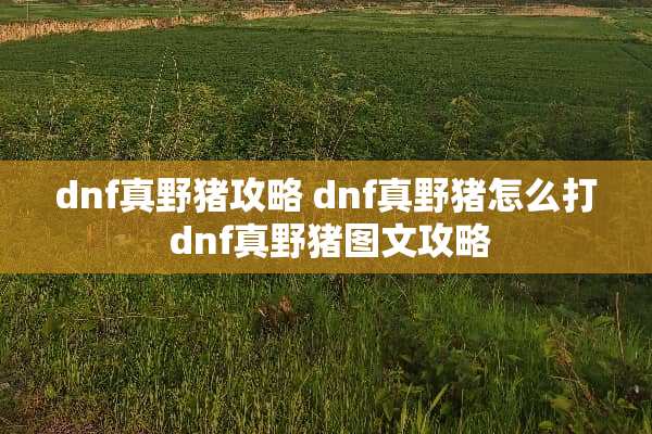 dnf真野猪攻略 dnf真野猪怎么打 dnf真野猪图文攻略