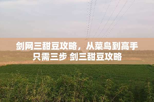 剑网三甜豆攻略，从菜鸟到高手只需三步 剑三甜豆攻略