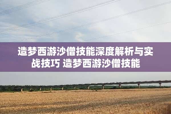 造梦西游沙僧技能深度解析与实战技巧 造梦西游沙僧技能