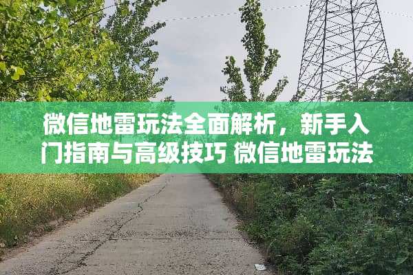 微信地雷玩法全面解析，新手入门指南与高级技巧 微信地雷玩法怎么玩
