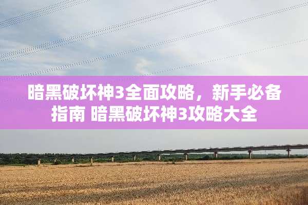 暗黑破坏神3全面攻略，新手必备指南 暗黑破坏神3攻略大全
