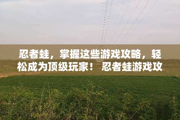 忍者蛙，掌握这些游戏攻略，轻松成为**玩家！ 忍者蛙游戏攻略