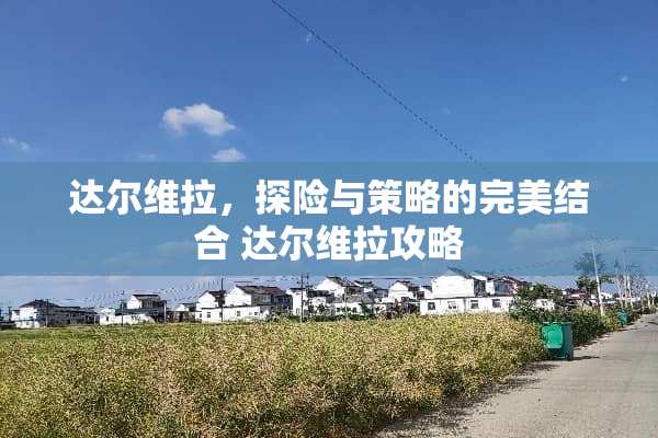 达尔维拉，探险与策略的完美结合 达尔维拉攻略