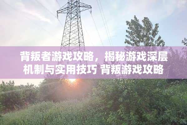 背叛者游戏攻略，揭秘游戏深层机制与实用技巧 背叛游戏攻略