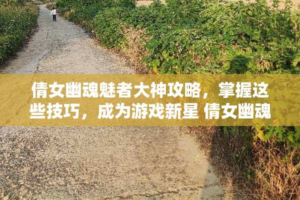倩女幽魂魅者大神攻略，掌握这些技巧，成为游戏新星 倩女幽魂魅者大神攻略