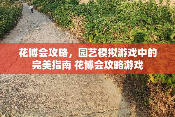 花博会攻略，园艺模拟游戏中的完美指南 花博会攻略游戏