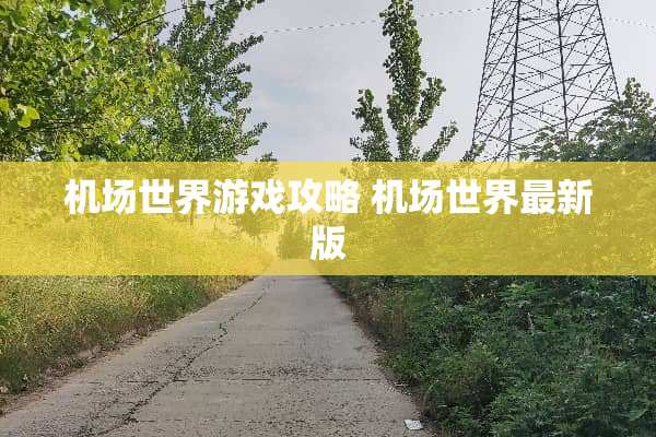 机场世界游戏攻略 机场世界最新版