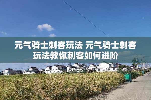 元气骑士刺客玩法 元气骑士刺客玩法教你刺客如何进阶