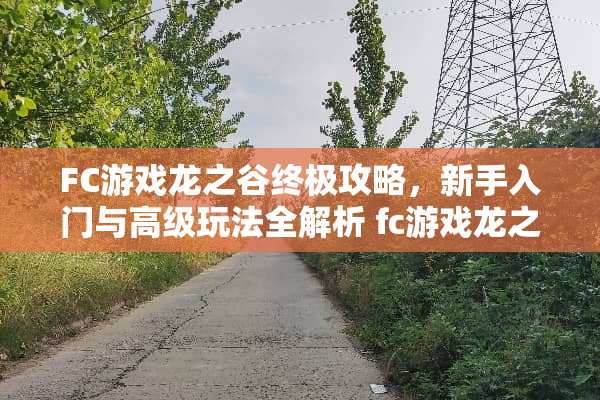 FC游戏龙之谷终极攻略，新手入门与高级玩法全解析 fc游戏龙之谷攻略