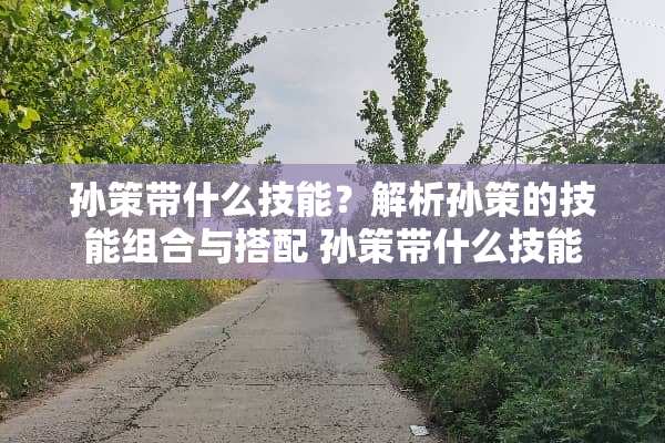 孙策带什么技能？解析孙策的技能组合与搭配 孙策带什么技能