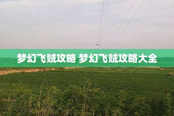 梦幻飞贼攻略 梦幻飞贼攻略大全