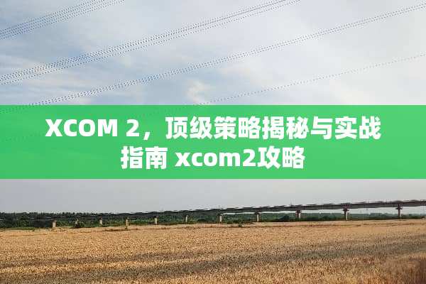 XCOM 2，**策略揭秘与实战指南 xcom2攻略