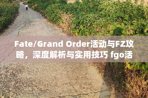 Fate/Grand Order活动与FZ攻略，深度解析与实用技巧 fgo活动fz攻略
