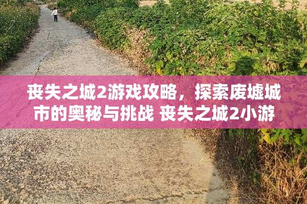 丧失之城2游戏攻略，探索废墟城市的奥秘与挑战 丧失之城2小游戏攻略
