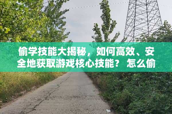 偷学技能大揭秘，如何高效、安全地获取游戏核心技能？ 怎么偷学技能