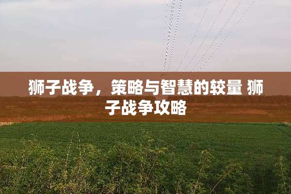 狮子战争，策略与智慧的较量 狮子战争攻略