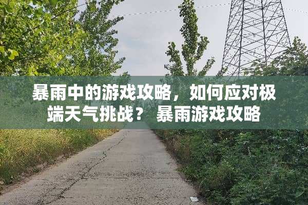 暴雨中的游戏攻略，如何应对极端天气挑战？ 暴雨游戏攻略