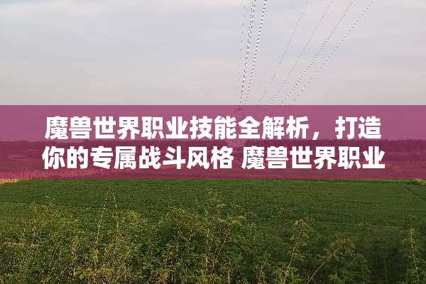魔兽世界职业技能全解析，打造你的专属战斗风格 魔兽世界职业技能介绍