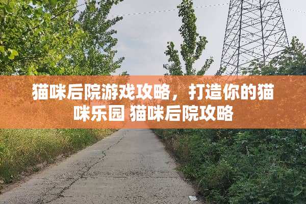 猫咪后院游戏攻略，打造你的猫咪乐园 猫咪后院攻略