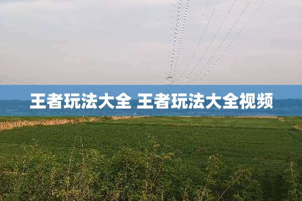 王者玩法大全 王者玩法大全视频