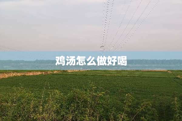 鸡汤怎么做好喝