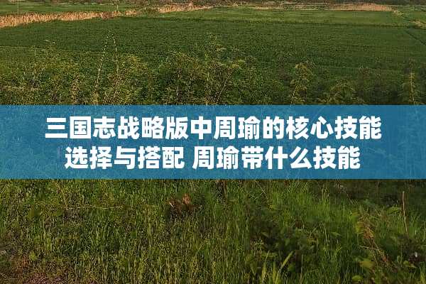 三国志战略版中周瑜的核心技能选择与搭配 周瑜带什么技能