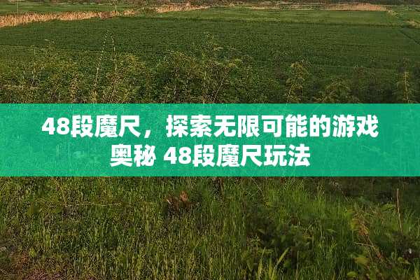 48段魔尺，探索无限可能的游戏奥秘 48段魔尺玩法