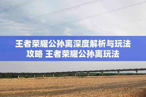 王者荣耀公孙离深度解析与玩法攻略 王者荣耀公孙离玩法