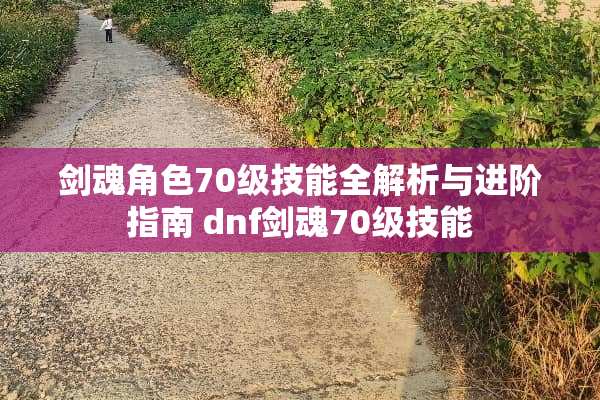 剑魂角色70级技能全解析与进阶指南 dnf剑魂70级技能