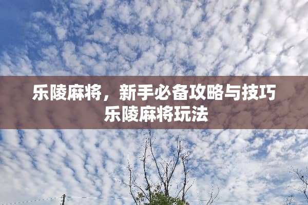 乐陵**，新手必备攻略与技巧 乐陵**玩法