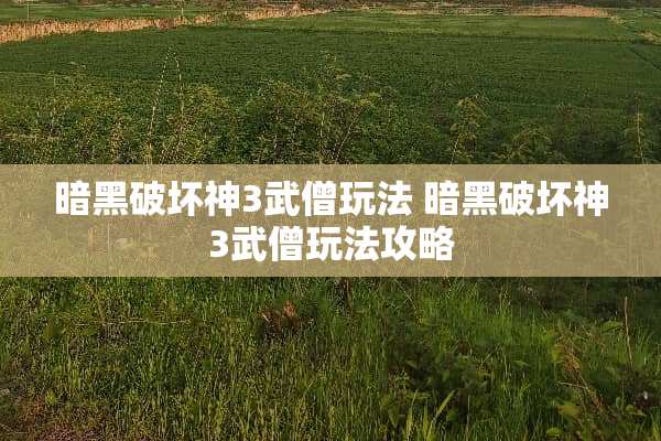 暗黑破坏神3武僧玩法 暗黑破坏神3武僧玩法攻略