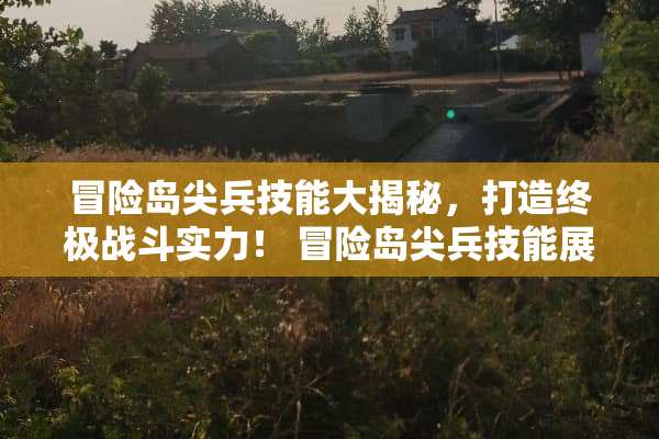 冒险岛尖兵技能大揭秘，打造终极战斗实力！ 冒险岛尖兵技能展示