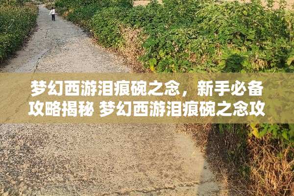 梦幻西游泪痕碗之念，新手必备攻略揭秘 梦幻西游泪痕碗之念攻略