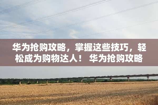 华为抢购攻略，掌握这些技巧，轻松成为购物达人！ 华为抢购攻略